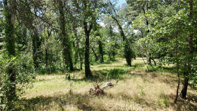 1343 Shady Lane, Lakeport