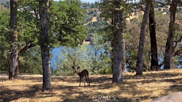 18379 Lakeridge, Hidden Valley Lake