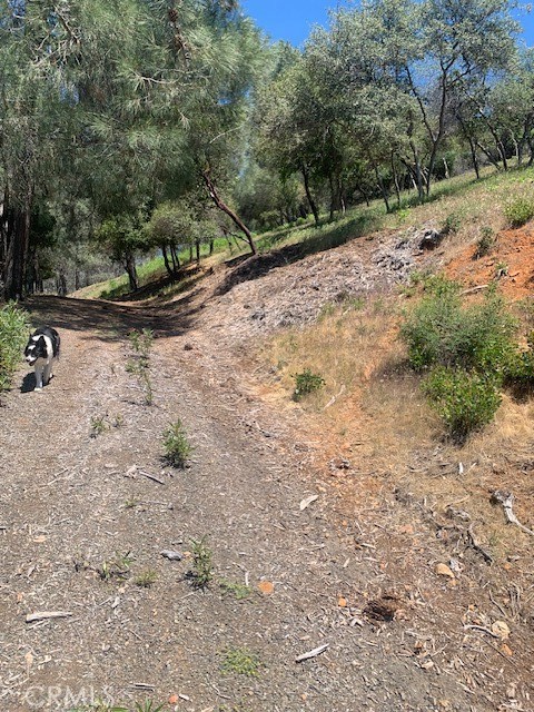 3150 Skyline, Kelseyville