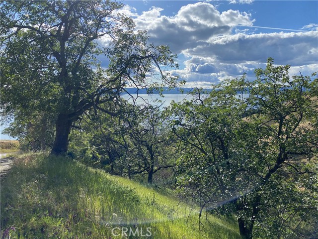 7524 Bruner Drive, Glenhaven