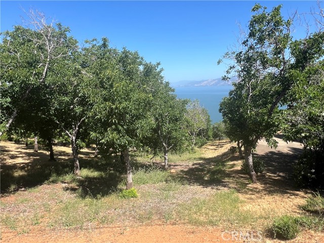 3031 Westridge Drive