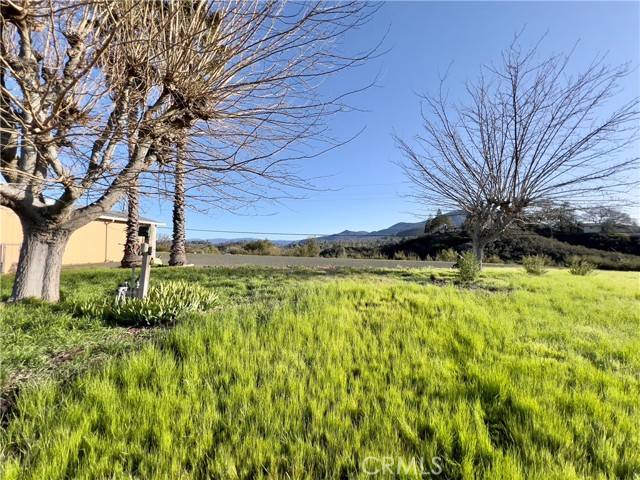 7435 Live Oak Drive, Kelseyville