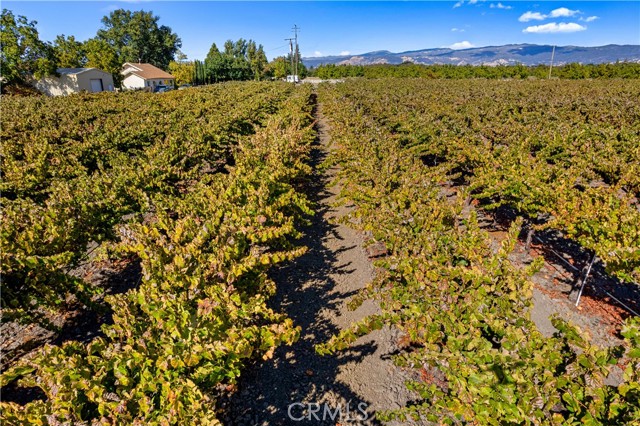 3245 Soda Bay Road, Lakeport