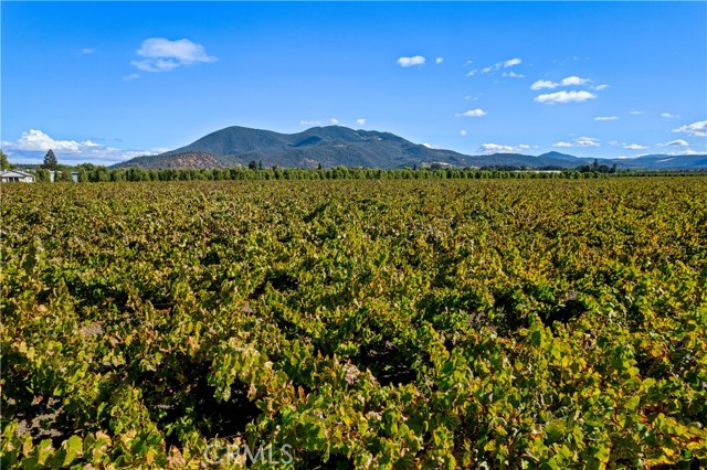 3245 Soda Bay Road, Lakeport