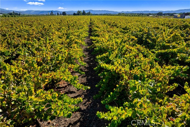 3245 Soda Bay Road, Lakeport
