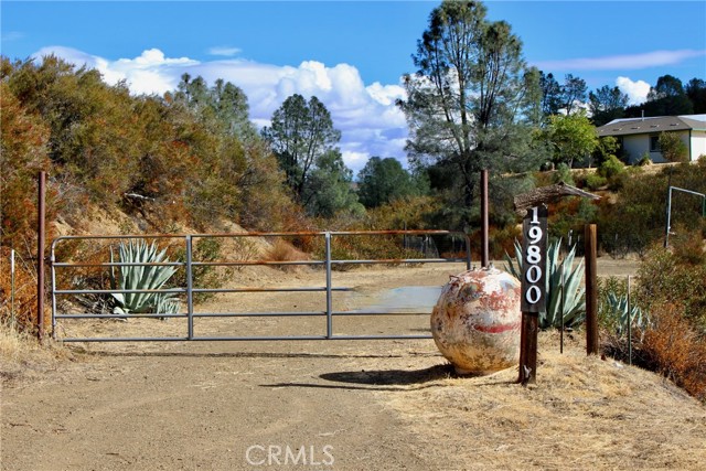 19800 Cantwell Ranch Road, Lower Lake