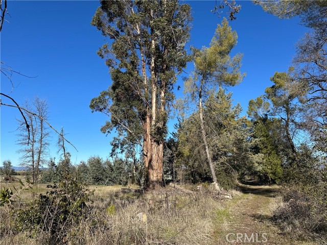 5235 Gaddy Lane, Kelseyville