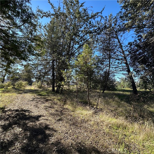 5235 Gaddy Lane, Kelseyville