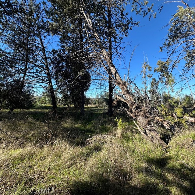 5235 Gaddy Lane, Kelseyville