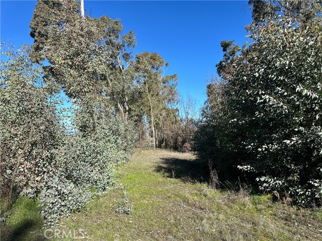 5235 Gaddy Lane, Kelseyville
