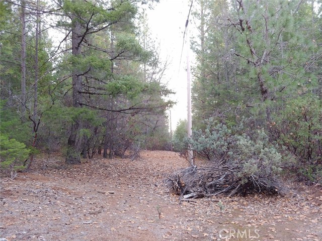 11254 Airstrip Road, Loch Lomond