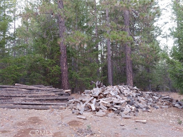 11254 Airstrip Road, Loch Lomond