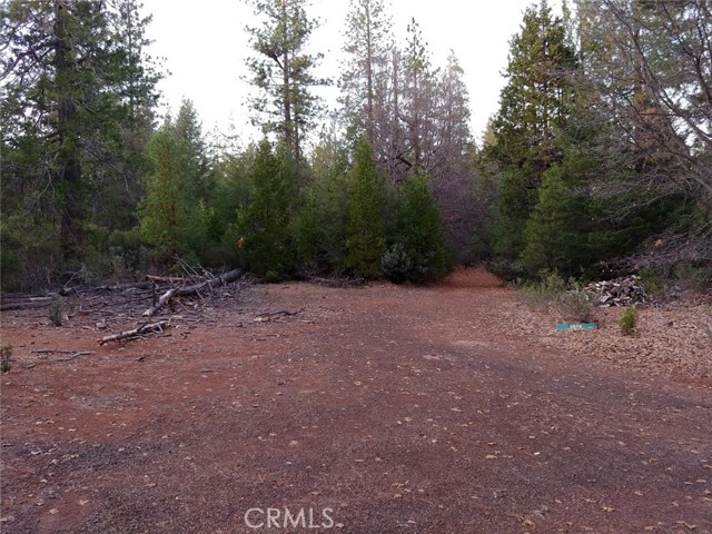 11254 Airstrip Road, Loch Lomond