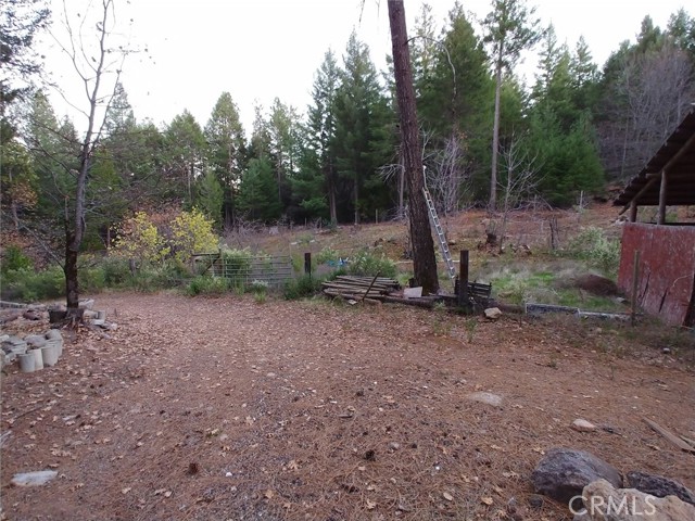 11254 Airstrip Road, Loch Lomond