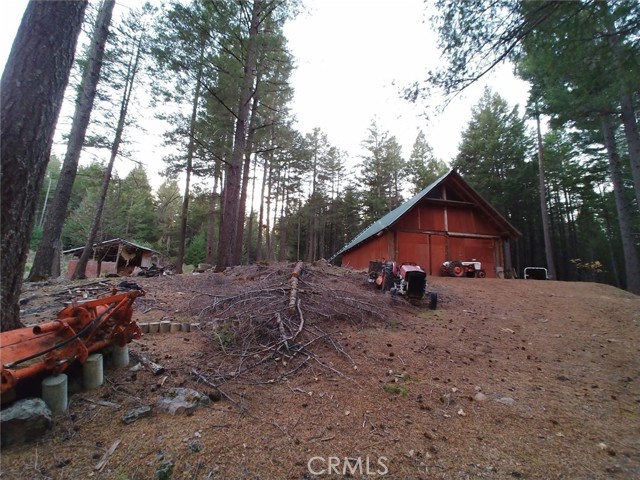 11254 Airstrip Road, Loch Lomond