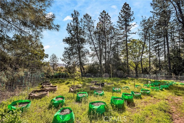 13988 Noble Ranch Road, Lower Lake