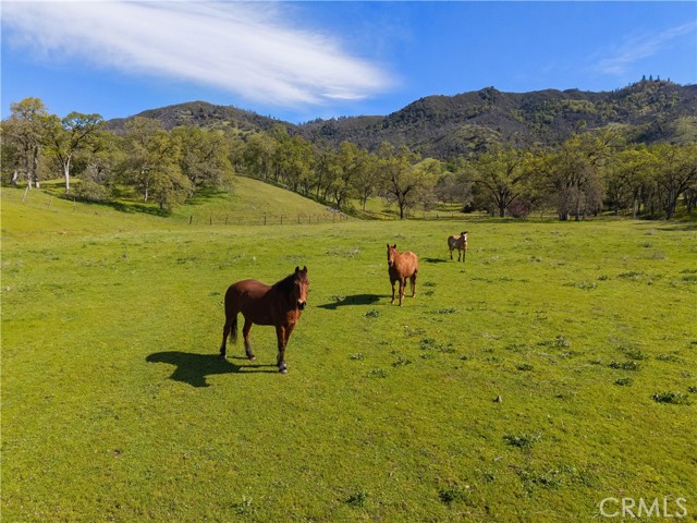 10950 Bachelor Valley Road, Upper Lake