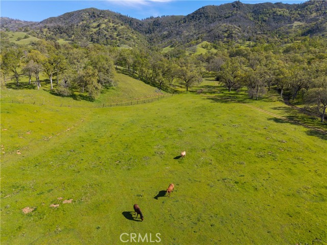 10950 Bachelor Valley Road, Upper Lake