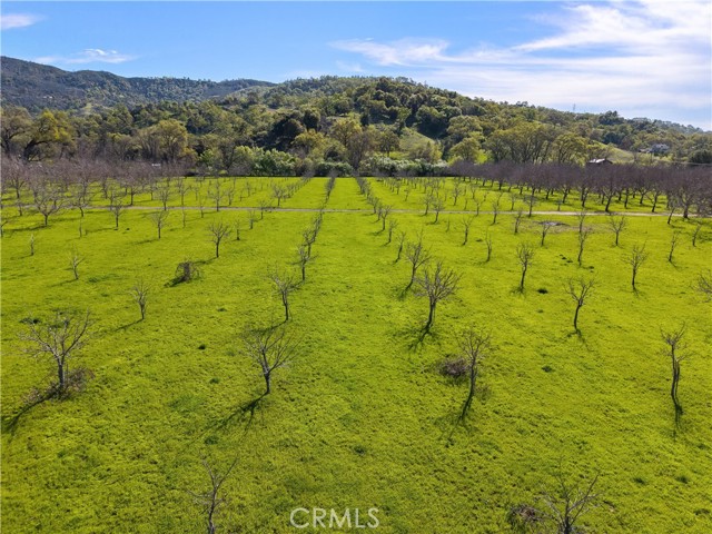 10950 Bachelor Valley Road, Upper Lake