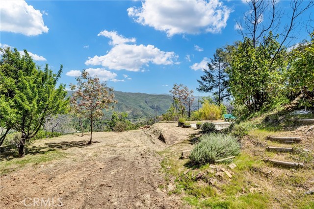 12299 Elk Mountain Road, Upper Lake