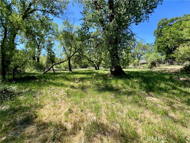 9740 Kelsey Creek Drive, Kelseyville
