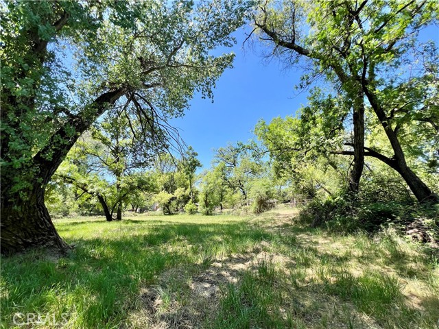 9740 Kelsey Creek Drive, Kelseyville