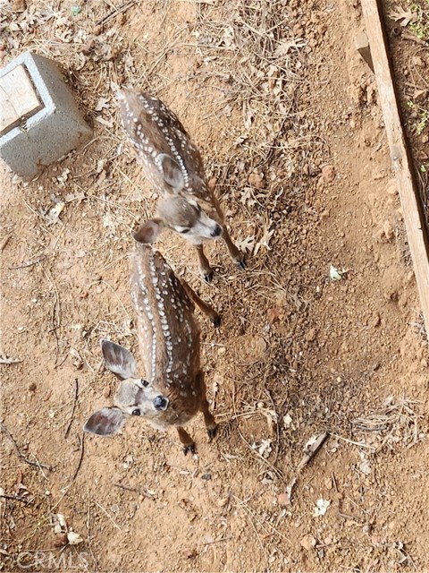 3062 Riviera Heights Drive, Kelseyville