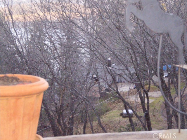 3062 Riviera Heights Drive, Kelseyville