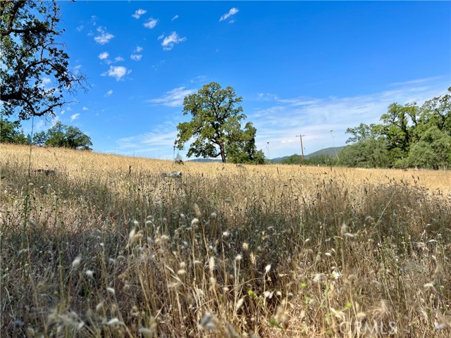 8734 Sulphur Creek Road, Kelseyville