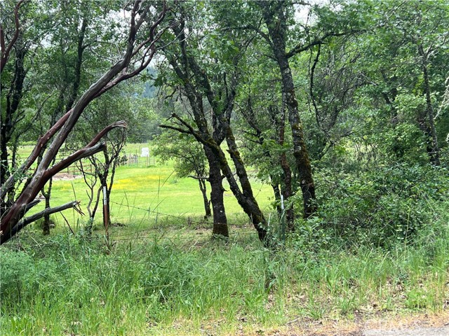 8734 Sulphur Creek Road, Kelseyville