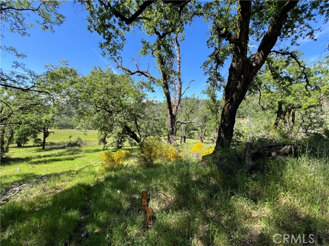 8734 Sulphur Creek Road, Kelseyville