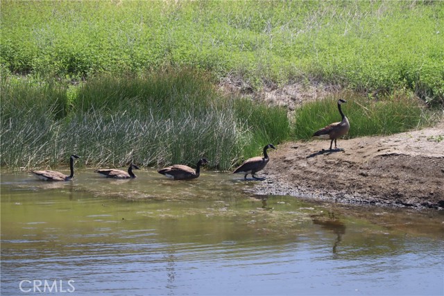 22986 Cascio Way, Lower Lake