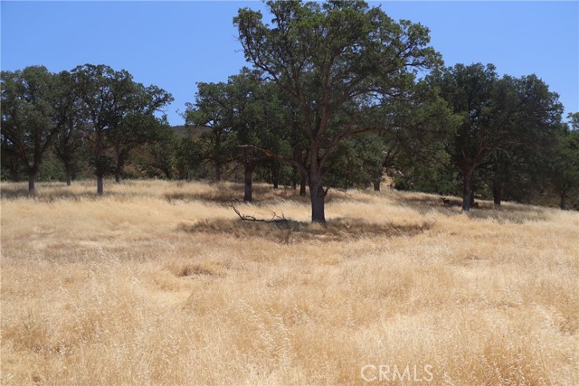 22986 Cascio Way, Lower Lake