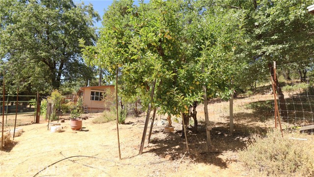 11444 Bottle Rock Road, Kelseyville