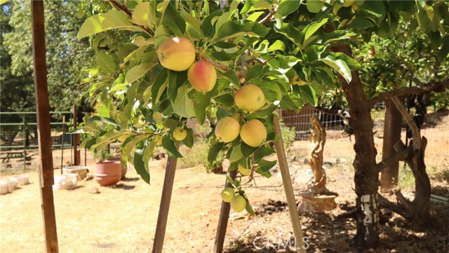 11444 Bottle Rock Road, Kelseyville