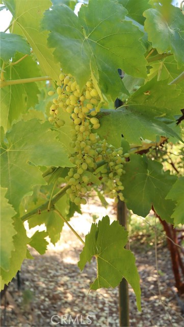 11444 Bottle Rock Road, Kelseyville