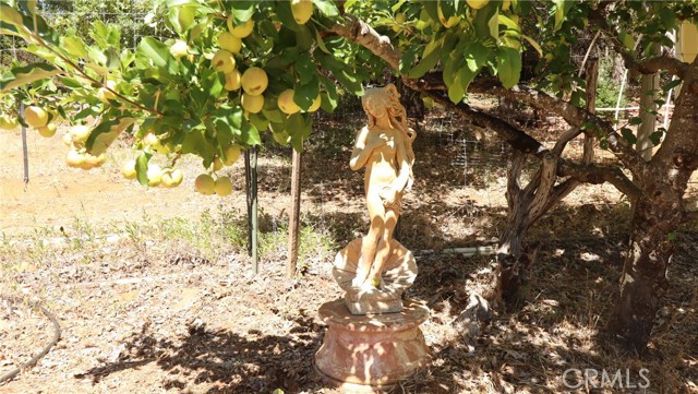 11444 Bottle Rock Road, Kelseyville