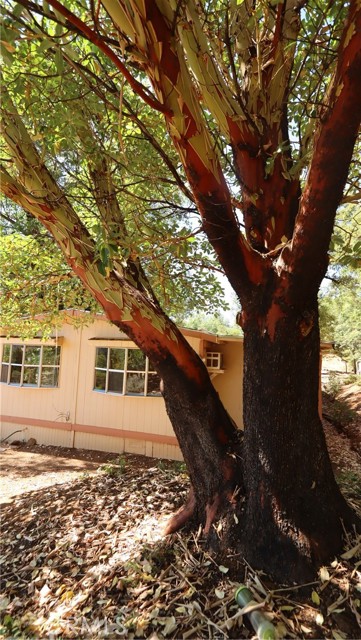 11444 Bottle Rock Road, Kelseyville