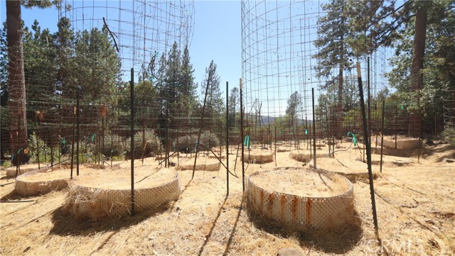 11444 Bottle Rock Road, Kelseyville