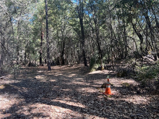 11444 Bottle Rock Road, Kelseyville