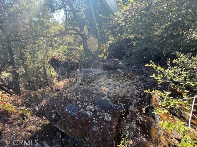 11444 Bottle Rock Road, Kelseyville