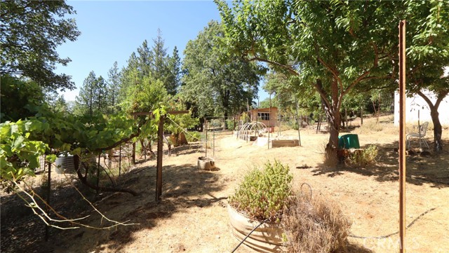 11444 Bottle Rock Road, Kelseyville