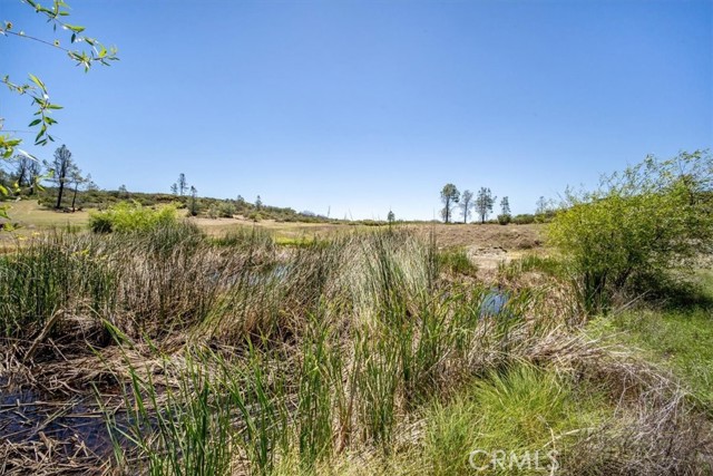 23621 Morgan Valley Road, Lower Lake