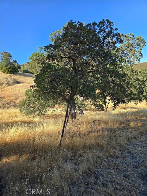 728 Watertrough Road, Clearlake Oaks