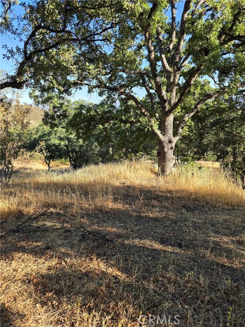 728 Watertrough Road, Clearlake Oaks