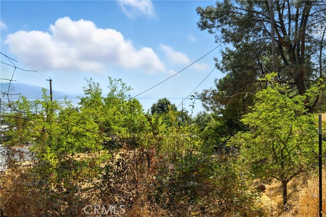 3171 Springe Street, Nice