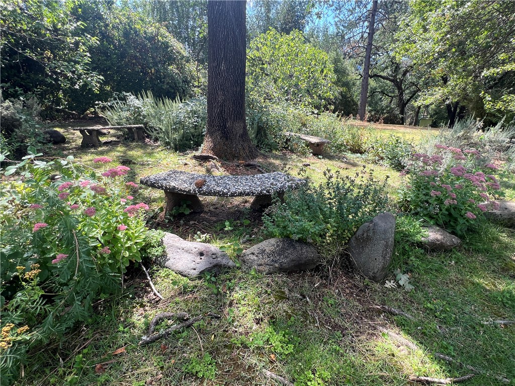 24019 Hilderbrand Drive, Middletown