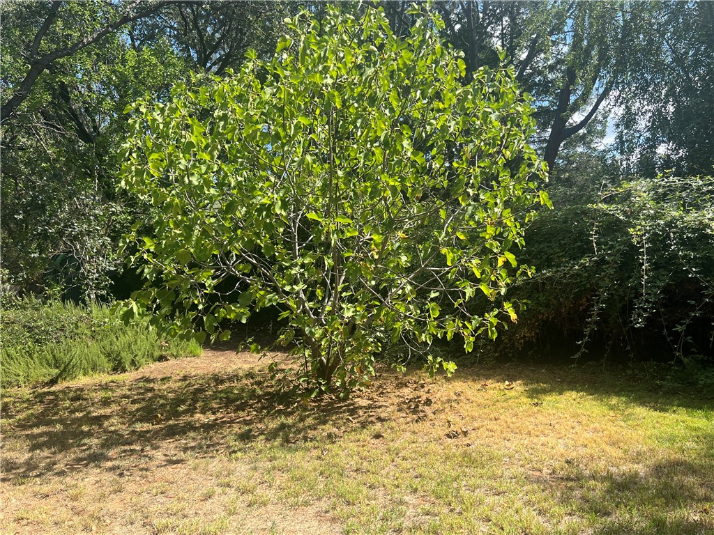 24019 Hilderbrand Drive, Middletown