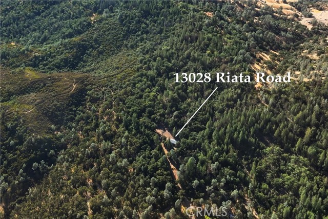 13028 Riata Road, Lower Lake