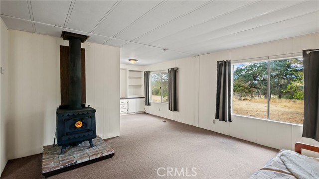 21378 Jerusalem Grade, Lower Lake